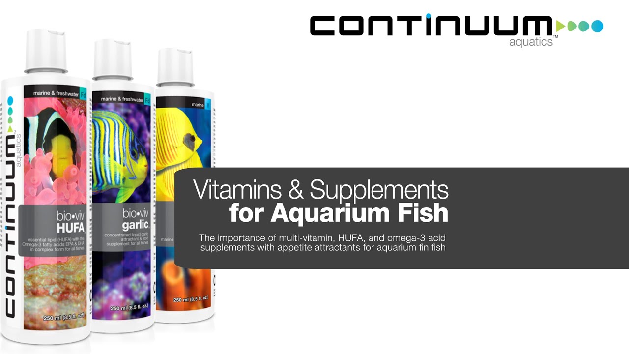 Vitamins & Supplements for Aquarium Fish YouTube