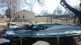 Celebrity Leo doing back flip Wealth