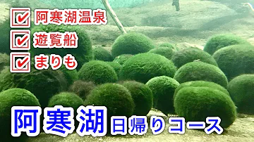 マリモ メダカ