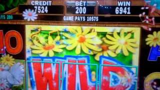 song birds slot machine $2.00  bet