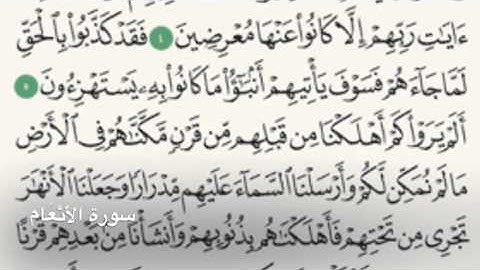 سورة الأَنْعَام - Holy Quran - Surah 6 - Page 128