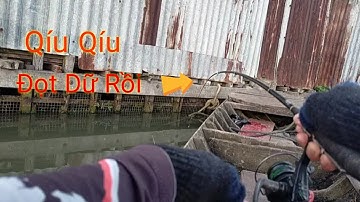 Câu Tôm || Chia Sẻ Kinh Nghiệm Canh Nước Câu Tôm Hiệu Quả .