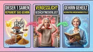 Dinge vergessen? DIESE 1-Minuten-Gewohnheit repariert tote Neuronen
