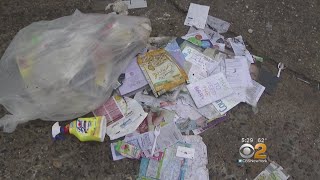 Suspects Dumping Trash Illegally In Front Of Bronx School Wealth