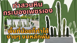 ทำสวนหินกระบองเพชรคอนโดนางฟ้า ทำเองง่ายๆ งบหลักพัน | NiceLife