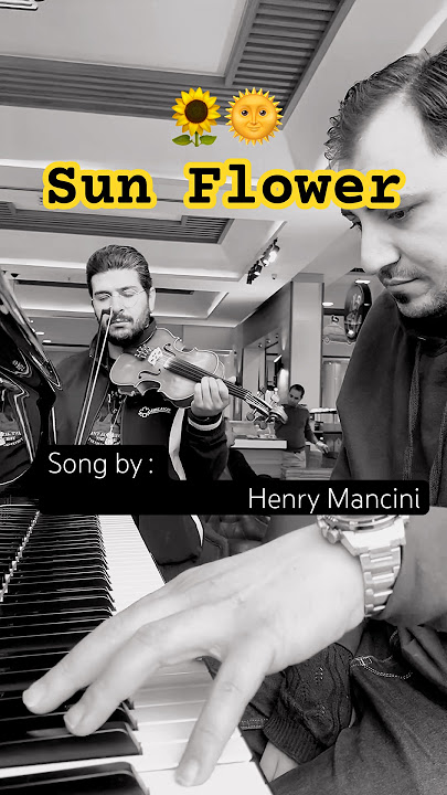 SunFlower cover duet Piano Violin #ali666ila @sohraborang-b2f