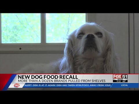 Video: BREAKING NEWS RECALL ALERT - Fromm Foods Recall Pilih Makanan Anjing Kaleng