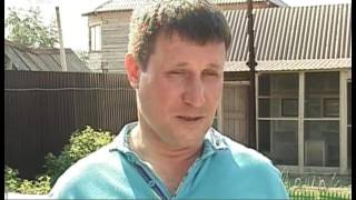 1500 голубей в небе над Челябинском. В регионе выбрали самую спортивную птицу 1500 голубей в небе над Челябинском. В регионе выбрали самую спортивную птицу