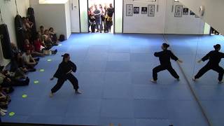Chen Tai ji quan - Da jia Xin jia Yi lu (4a sezione/section 4)