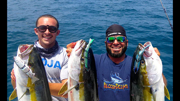 SPRO BBZ-1 6" Mackerel and Sardine Take On Yellowtails In SD.