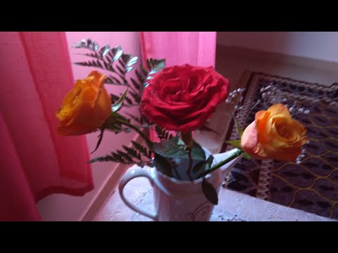 السعادة فى ابسط الاشياء بيتزا سريعه قهوة بالزبده نباتات للمنزل