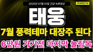 [태웅 주가전망] 7월 풍력테마 대장주 된다. 목표가 6만원 도달 전 마지막 눌림목! 절대 단 한주도 털리지 마세요. 태웅 주주 필수시청영상!