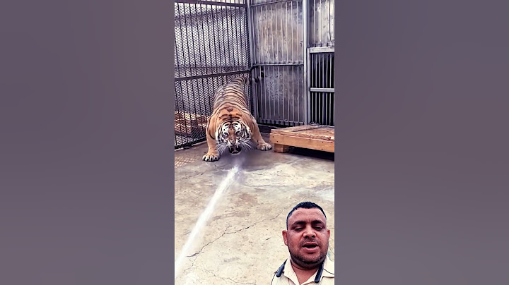 Farmer narrowly escapes tiger attack #shorts #trending #youtubeshorts