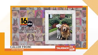 Requests for younger callers and Pet Slideshow music | Talkback 16