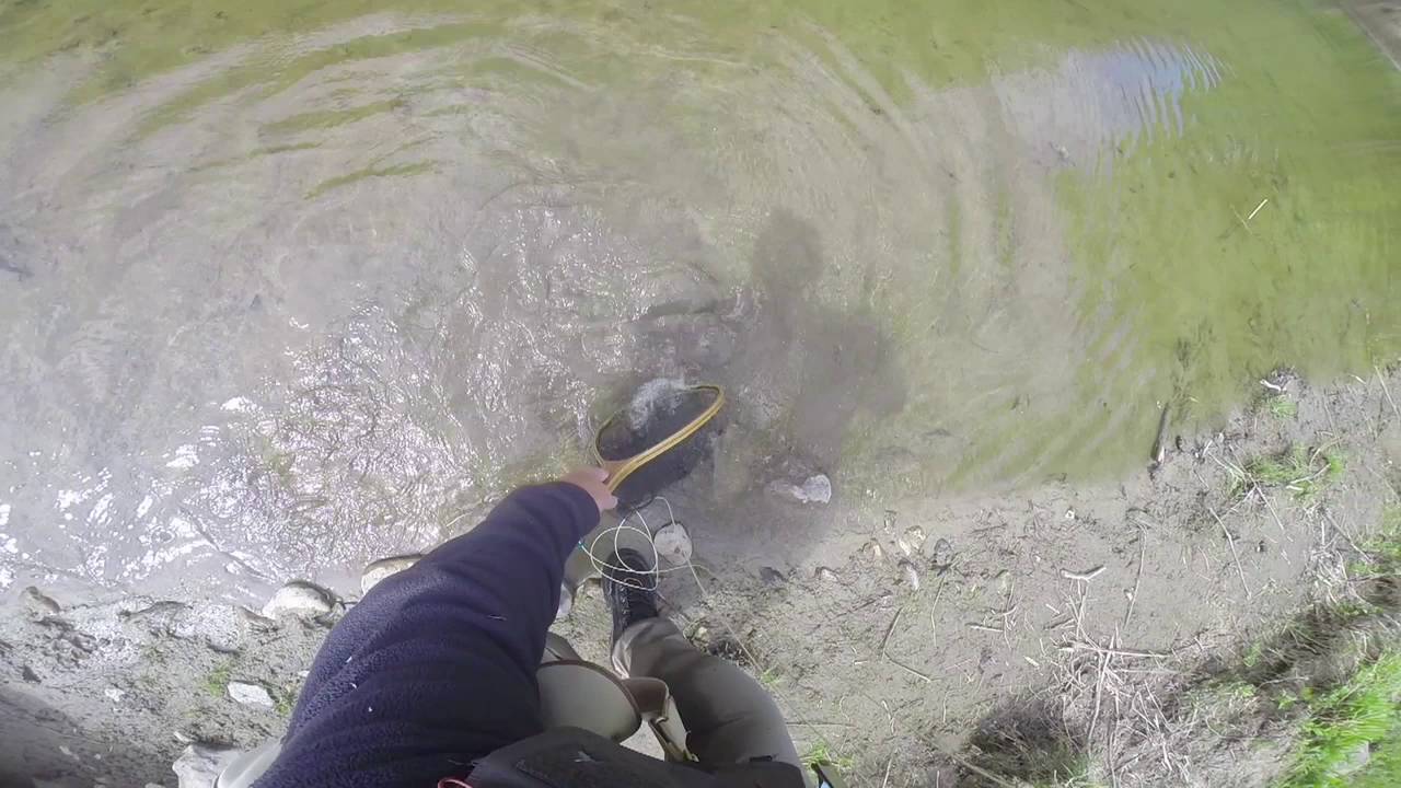 19 May 2016 Lewis Creek Vermont YouTube