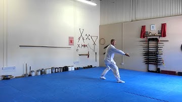 Xingyi quan snake 形意拳 蛇