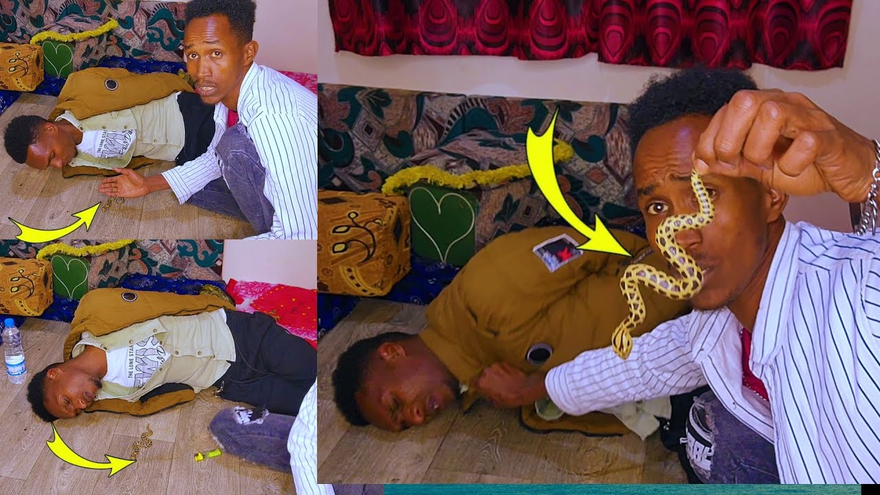 😅😅Asluu sirii Irraa hikkan abdalla fi shehknii 😅😅