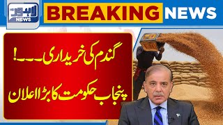 Breaking Latest Update About Wheat Lahore News Hd