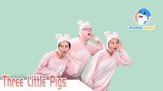 The Three Little Pigs | Paopao Shark Super Fun English Stories for Kids
