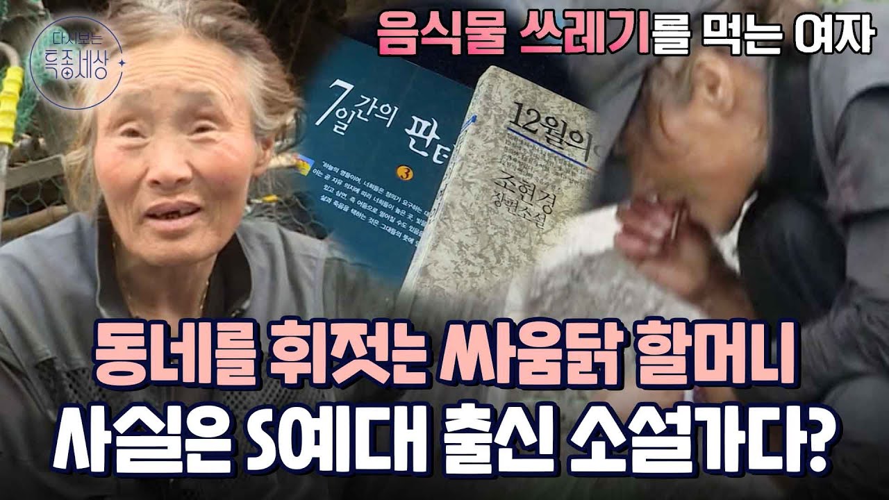 동네를 휘젓고 다니는 분노 할머니, S예대 출신 소설가였다｜다시보는 특종세상 EP.379