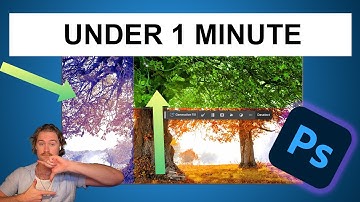 How to Create a Rectangle in Adobe Photoshop CC (2024)