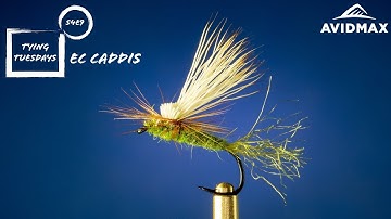 How to tie the EC Caddis | AvidMax Fly Tying Tuesday Tutorials