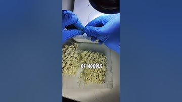 How Noodles Look like under Microscope!!😨