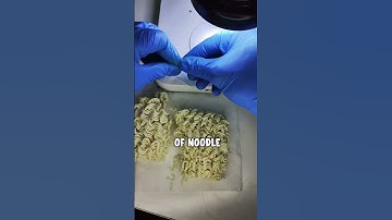 How Noodles Look like under Microscope!!😨