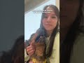 Stray Dog Meets Woman And Immediately Climbs Into Her Car | The Dodo