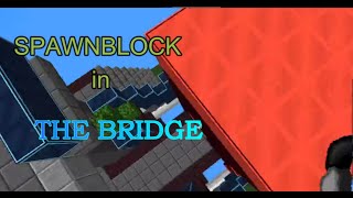 BULLYING AND SPAWNBLOCKING a NOOB in the BRIDGE