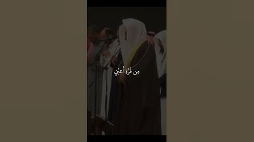 الشيخ ياسر الدوسري | سورة السجدة | فلا تعلم نفس ما أخفي لهم من قرة أعين
