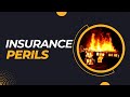 Perils in Insurance: Understanding the Risks Covered by Your Policy! 💥🔒
