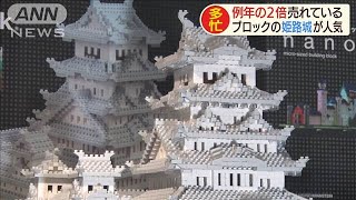 「ナノブロック」人気は姫路城　売り上げ去年の2倍(20/05/11)