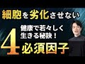 【永久保存版】栄養素だけではない❗️ 細胞を劣化させない4つの必須因子❗️【自然療法士 ルイ】