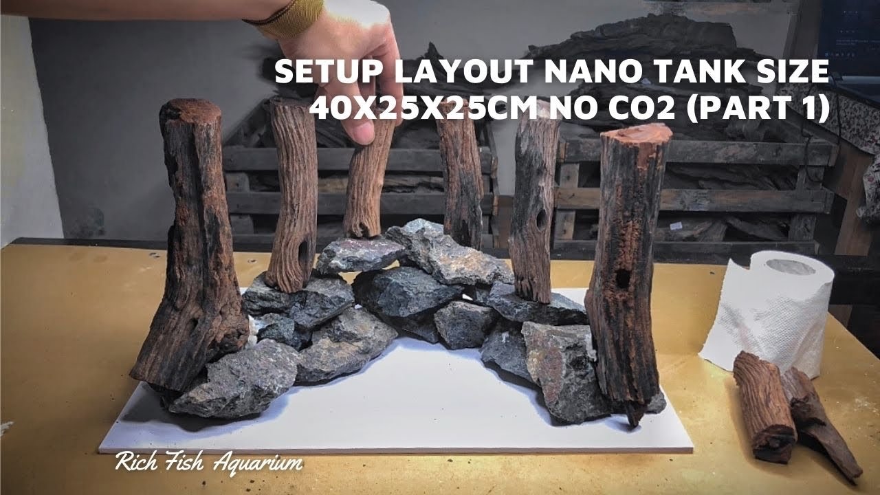 Setup Layout Rừng Bể Thuỷ Sinh 40x25x25cm Nâng Đáy | Setup Layout Tank ...