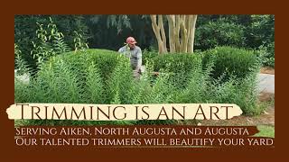Shrub, Hedge and Small Tree Trimming Services in Aiken, North Augusta, and Augusta