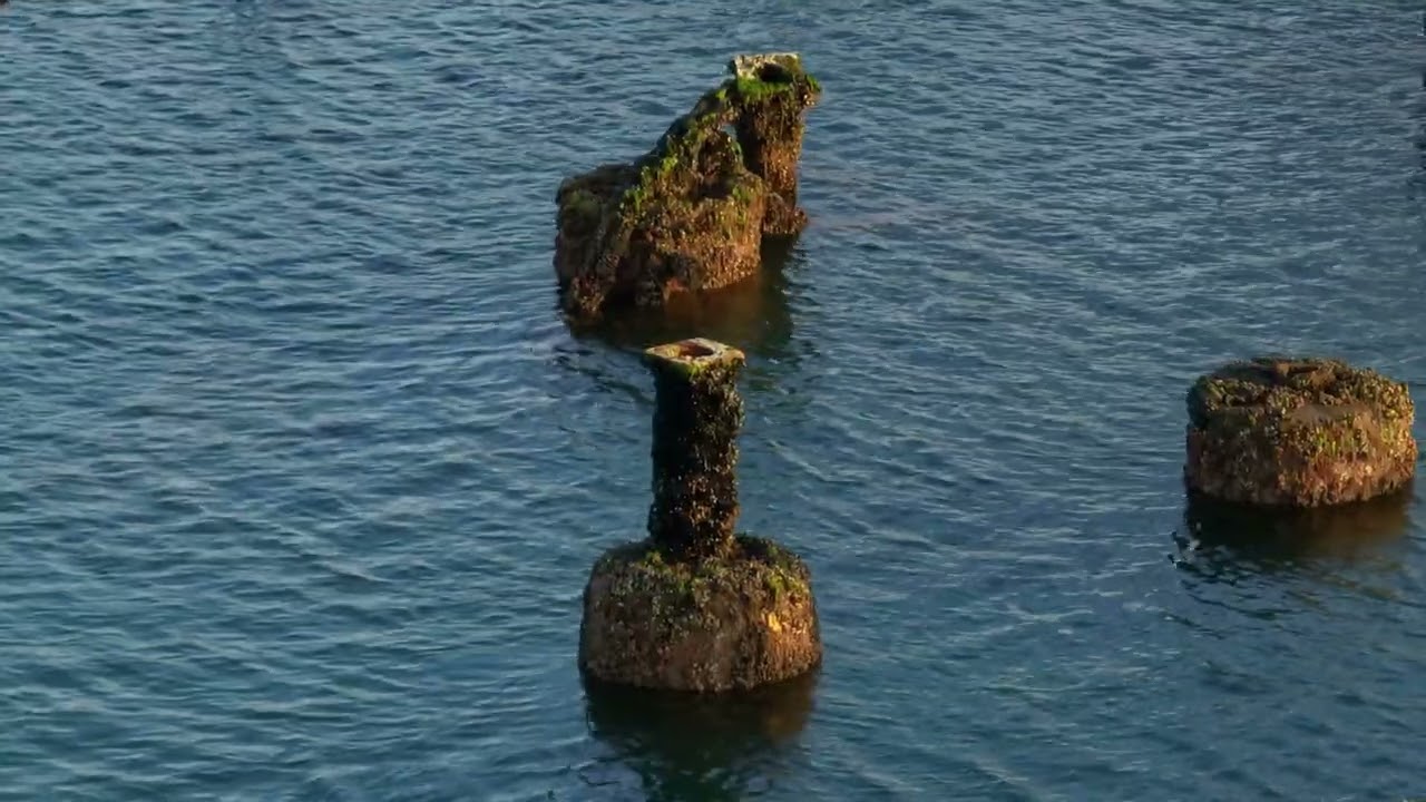 West Pier Revealed | Remarkable results from new West Pier exploration