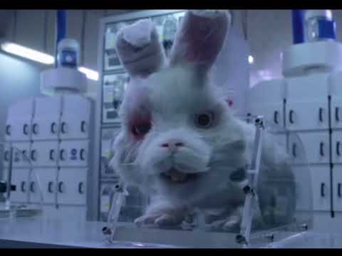 Ralph le lapin