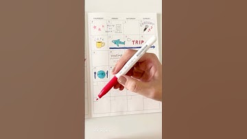 Power Up Your Planning with Pilot Frixion: Write, Erase, and Redefine!