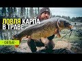 Ловля карпа в траве. Карпфишинг в июне .