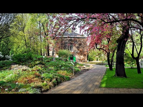 Videó: Tavaszi Füvészkert létrehozása