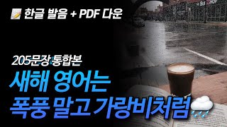 (재업) 5분만 하셔도 출석 인정✅ 205문장 통합본  | 뒹굴신 영어 루틴