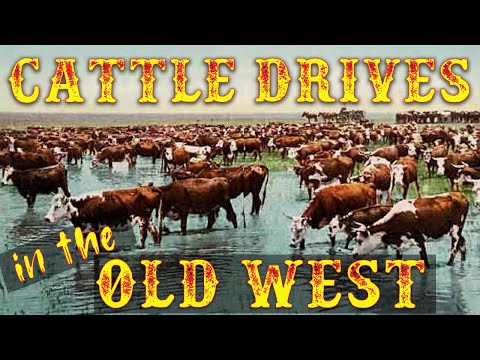 Video: Blev kvægdriften slut?