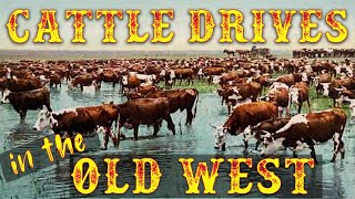 Cattle Drives in the Old West