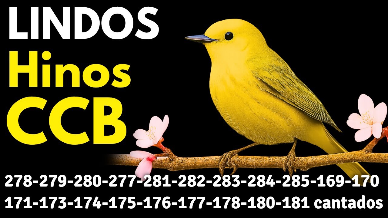 HINOS CCB 278-279-280-277-281-282-283-284-285-169-170-171-173-174-175-176-177-178-180-181 cantados