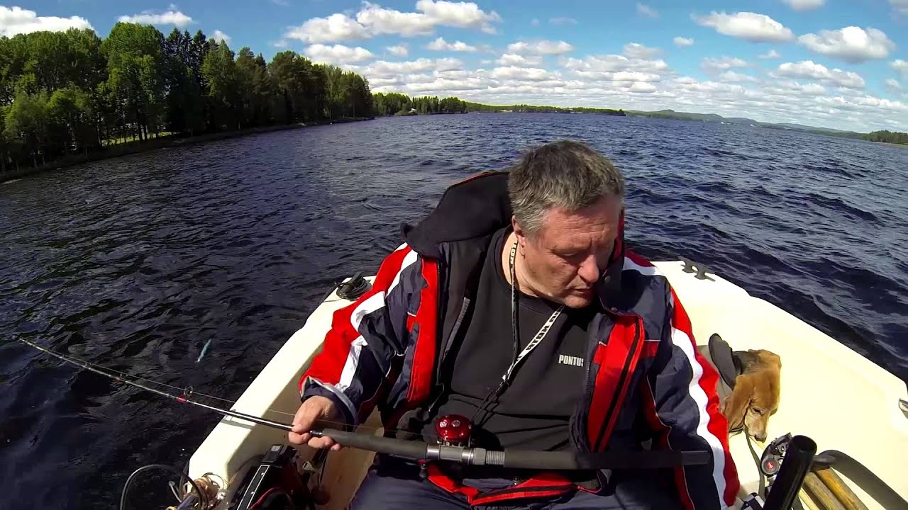 Gäddslaget på sjön Varpen