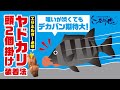 【石師魂】イシダイエサのズレを防ぎ喰い込みを促す! エサホルダーセット法解説【イシダイ釣り】