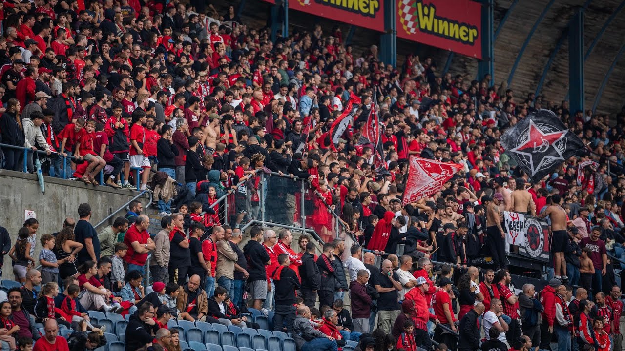 טדי האדום 🔴