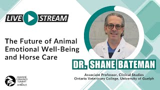 The Future of Animal Emotional Well-being and Horse Care