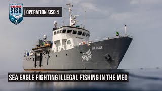 Sea Eagle Fighting Illegal Fishing in the Med